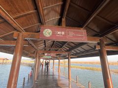 -苏州太湖湖滨国家湿地公园