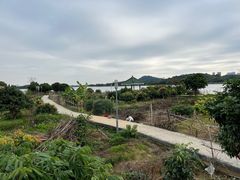 -鹤之洲湿地公园