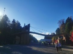 -五营红松林海景区