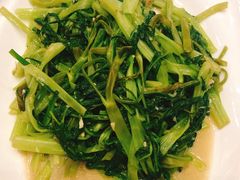 -优之名鹅城