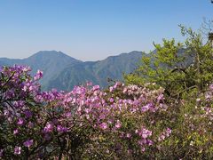 -含鄱口