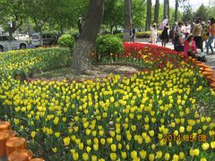 园区一角-长春公园(普阳街道)