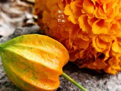 -小五台金河景区