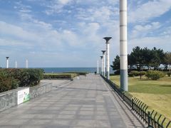 -日照灯塔风景区