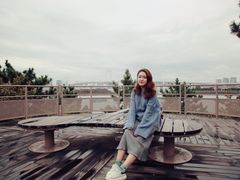 -台场海滨公园船码头
