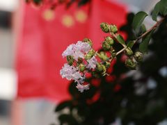 -锡师附小学(学前街校区)