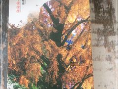 -南雄雄州土菜餐厅(粤北大厦店)