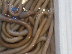 -三个渔夫·蒸汽海鲜(小白楼店)