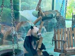 -五龙山野生动物王国