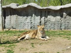 -北京野生动物园