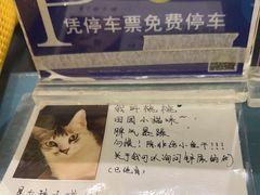 -谜盒子奇幻密室(南屏店)