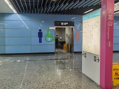 -大龙山(地铁站)