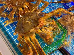 -驻海渔市(置信店)