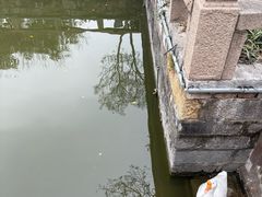 -苏州文庙(姑苏区)