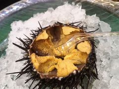 海胆刺身-盛港湾海鲜食府(黄沙店)