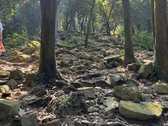 -火炉山森林公园