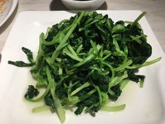 清炒鸡毛菜-19号私房菜(云南路店)