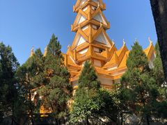 -云南勐巴娜西珍奇园