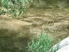 -碓臼峪自然风景区