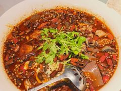 -金熊猫川菜餐厅