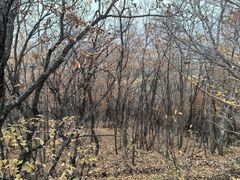 -帽儿山国家森林公园