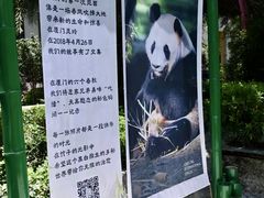 -灵玲国际马戏城