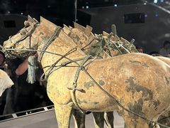 -秦始皇帝陵博物院-丽山园