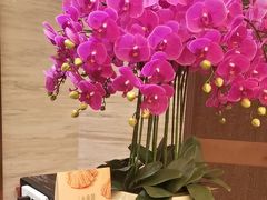 -上海小南国(国发店)