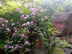 -玲珑塔公园