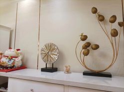 -茜尔维亚修身连锁(杨浦五角场店)