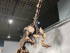 -大连自然博物馆
