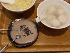 -海丝金凤(金鱼店)