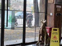 -宠颐生斯嘉宠物医院·急重症·心内科(谷阳北路分院)
