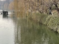 -浮庄