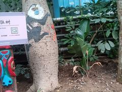 -呀路古热带植物园