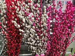 -FEI FEI FLOWER鲜花店·气球派对·宝宝宴布置(虹口德必运动Loft店)