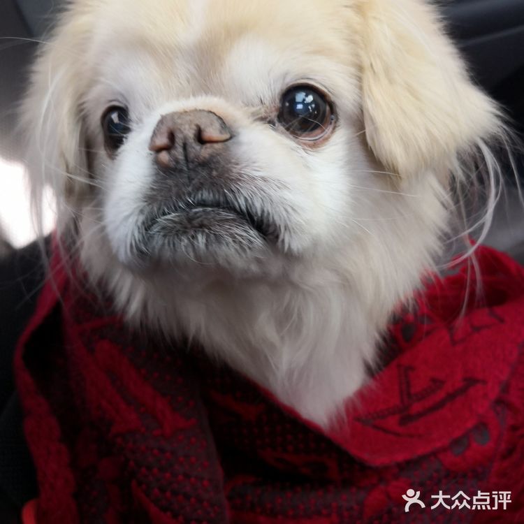 乒小乓，你想姐姐了吗？