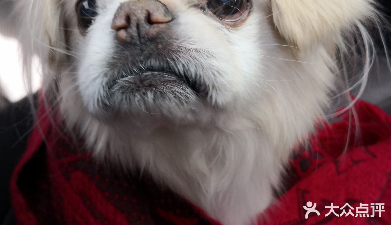 乒小乓,你想姐姐了吗?