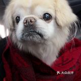 乒小乓,你想姐姐了吗?