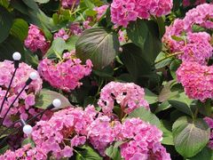 -王府井步行街