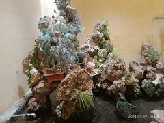 -开元食府(长兴路店)