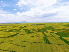-扁都口生态休闲旅游区