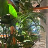 🌟广州天河第二家！！！夏日轻食低卡 pLea
