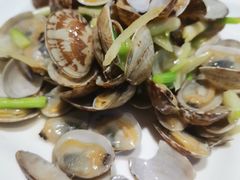 姜葱炒花蛤-新澳港式茶餐厅(余姚路店)
