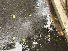 -尼莫儿童美术(三阳路融科天城校区)