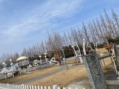 -前小桔亲子创意农场·草莓采摘·露营烧烤