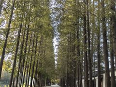 -百联奥特莱斯广场(南京店)