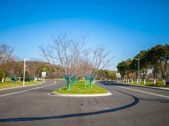 -羊山湖公园