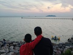 -合肥滨湖国家森林公园