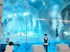 -帝企鹅自助餐厅•儿童岛•真企鹅(长隆企鹅酒店)